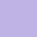 
    flieder-violet-tulip
    